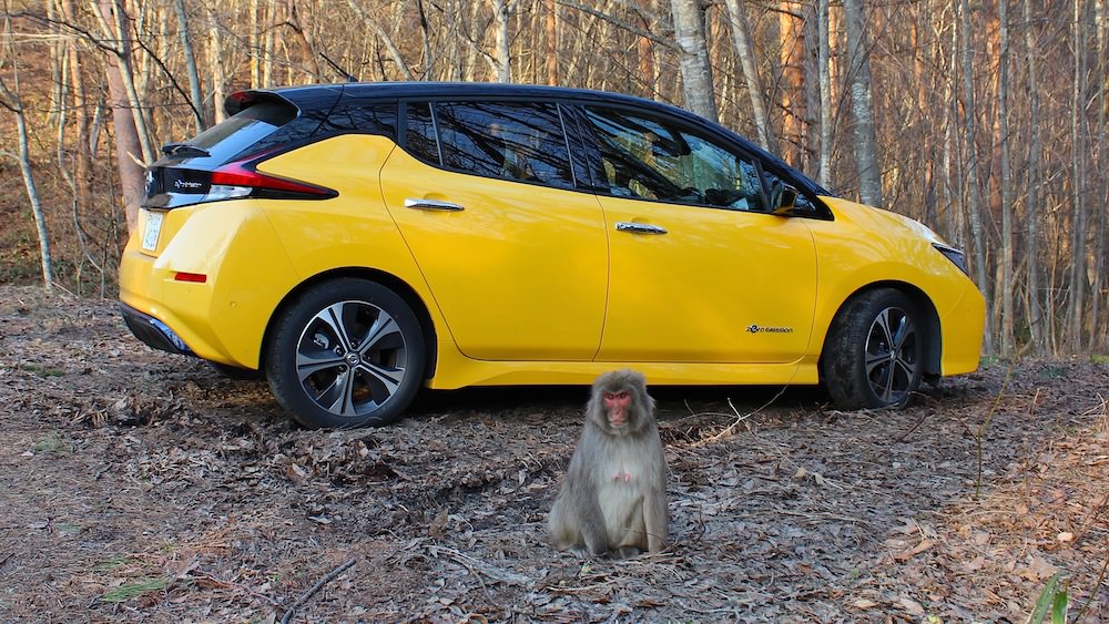 Nissan LEAF design