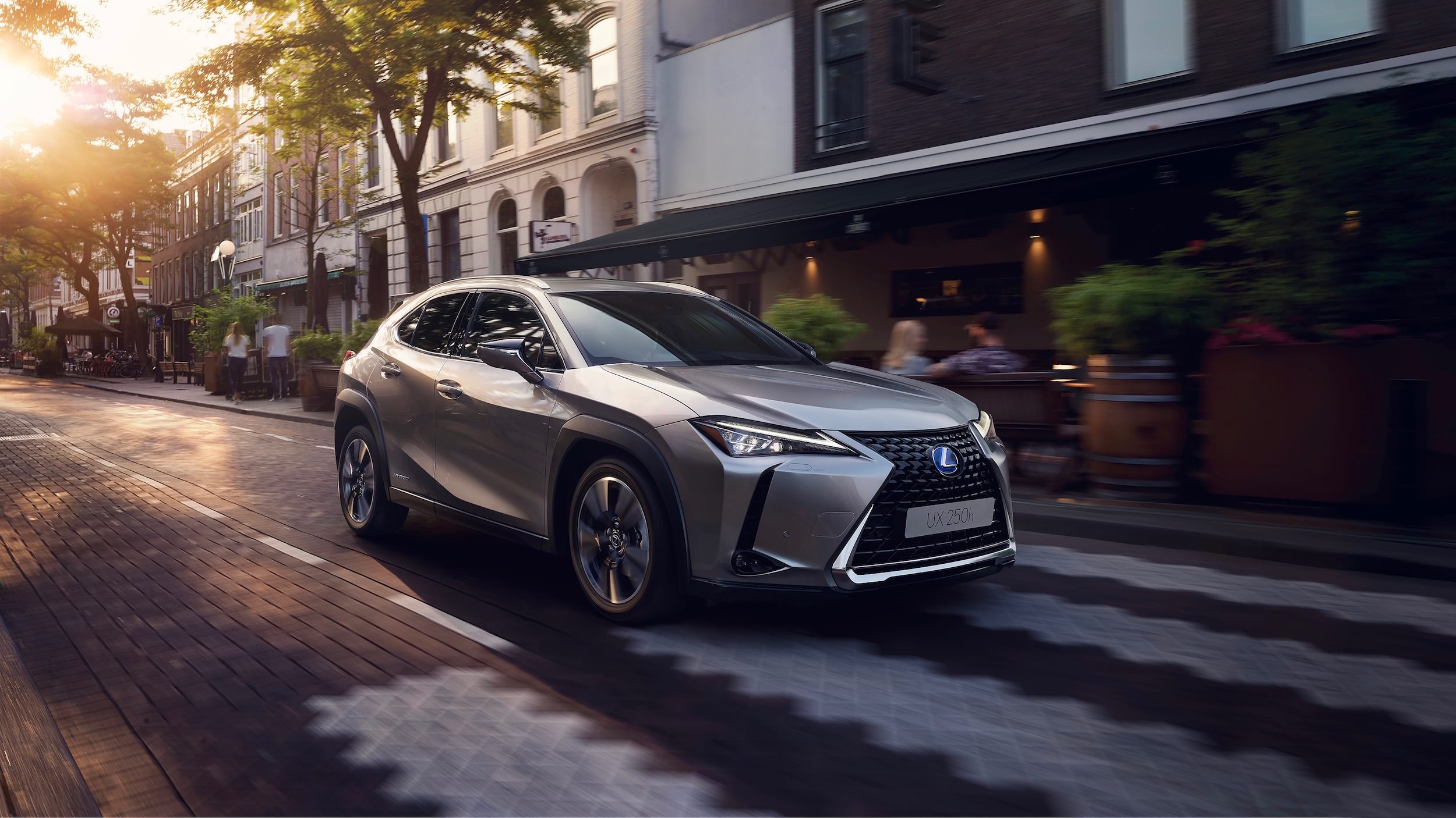 Lexus UX 250h side