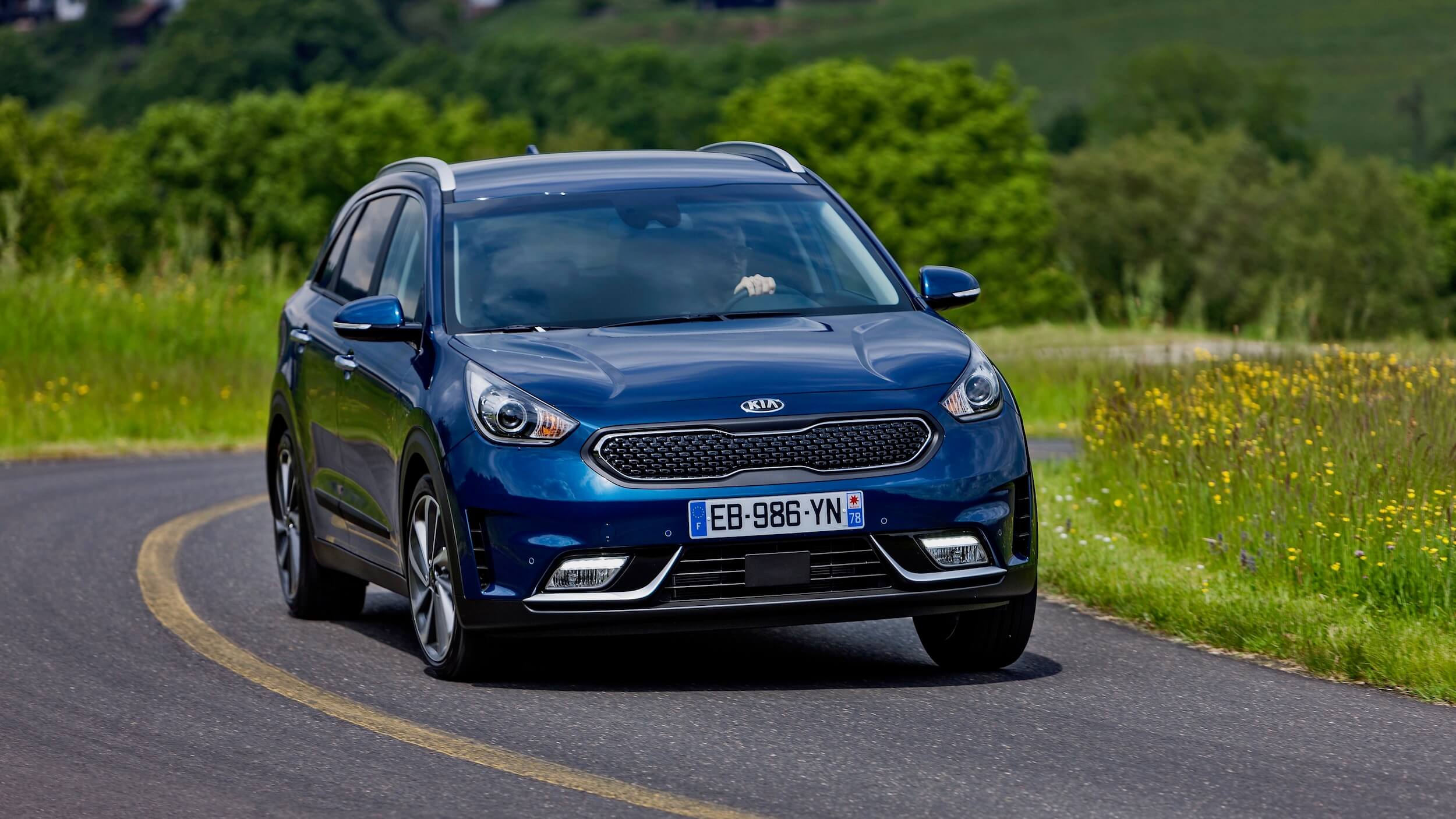 Kia Niro blauw