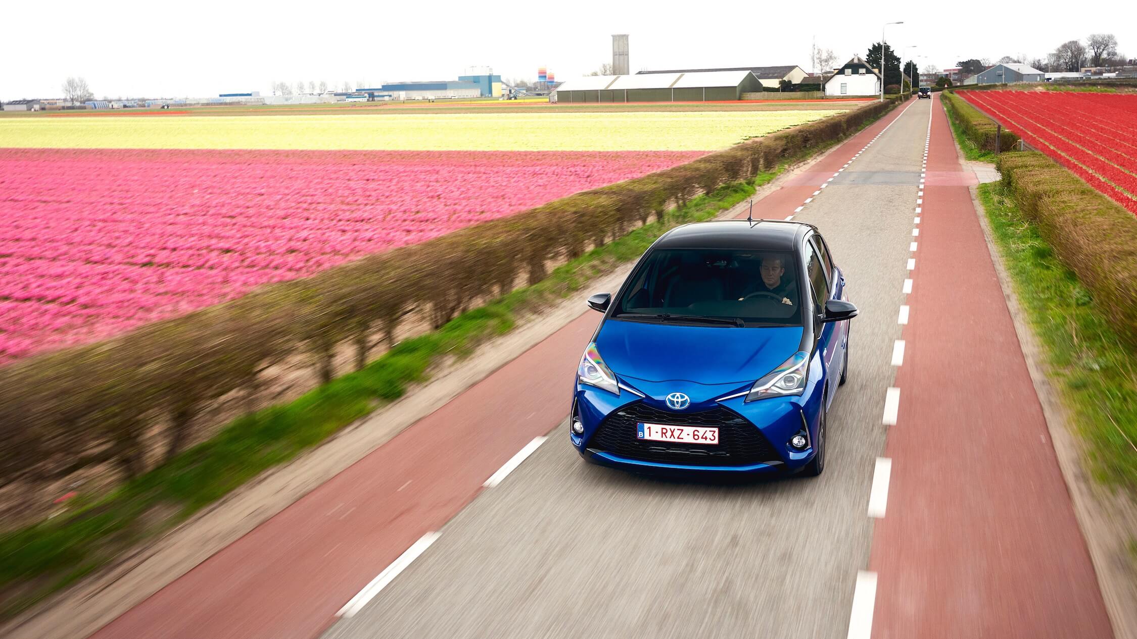 Toyota Yaris in flower field