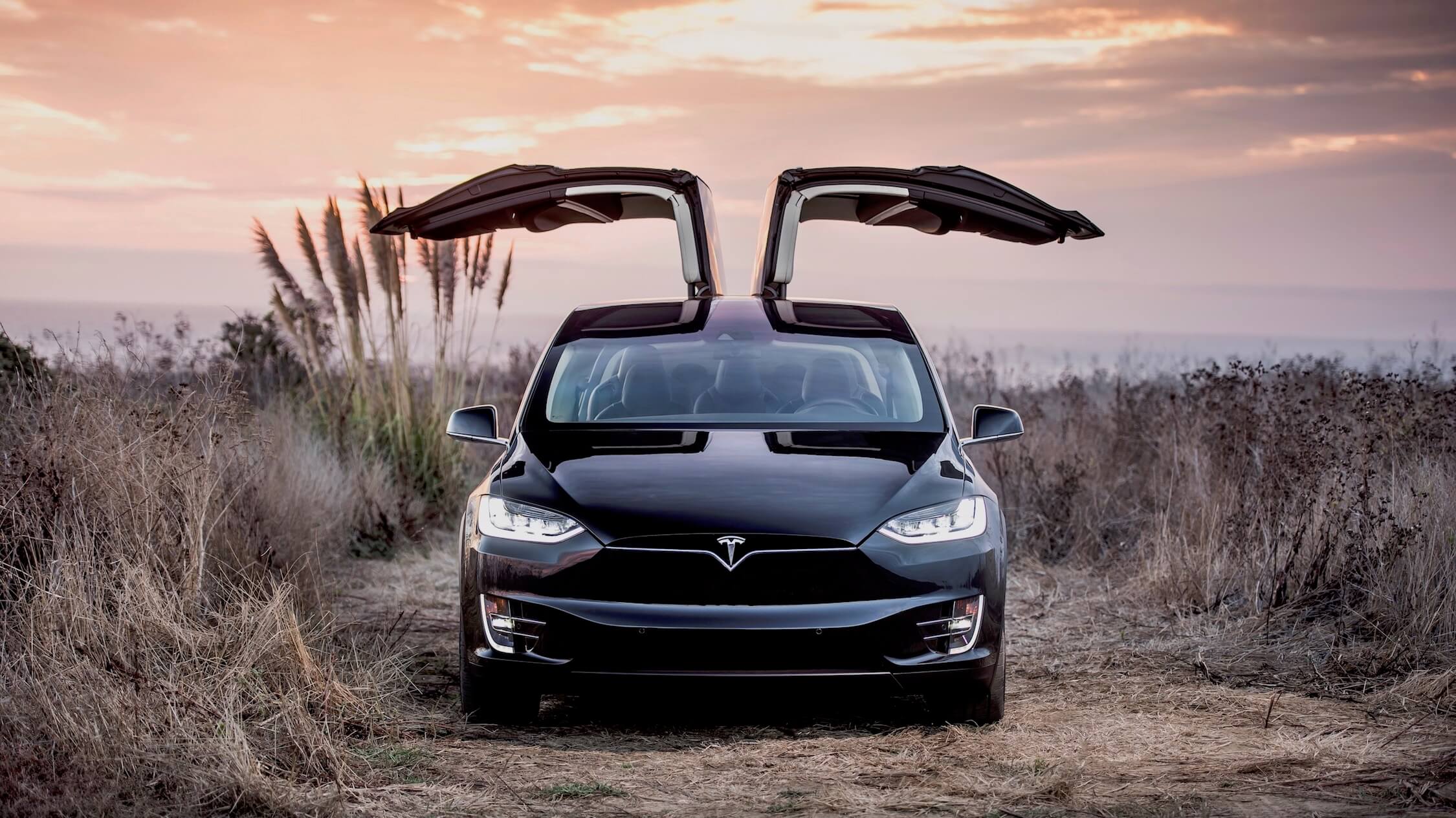 Tesla Model X vleugeldeuren