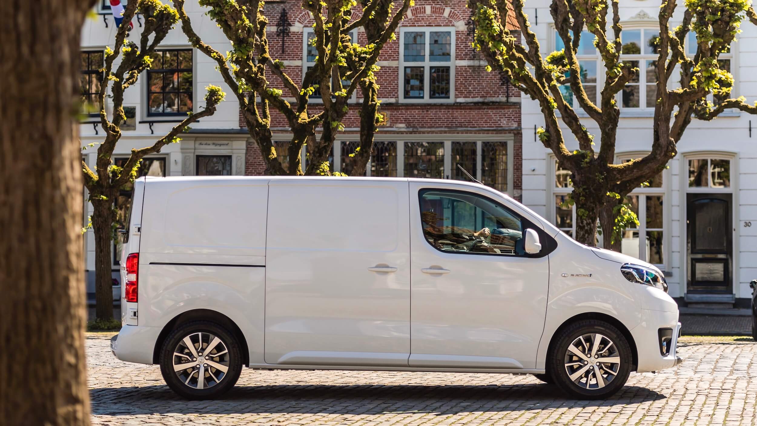 Toyota Proace Electric profiel