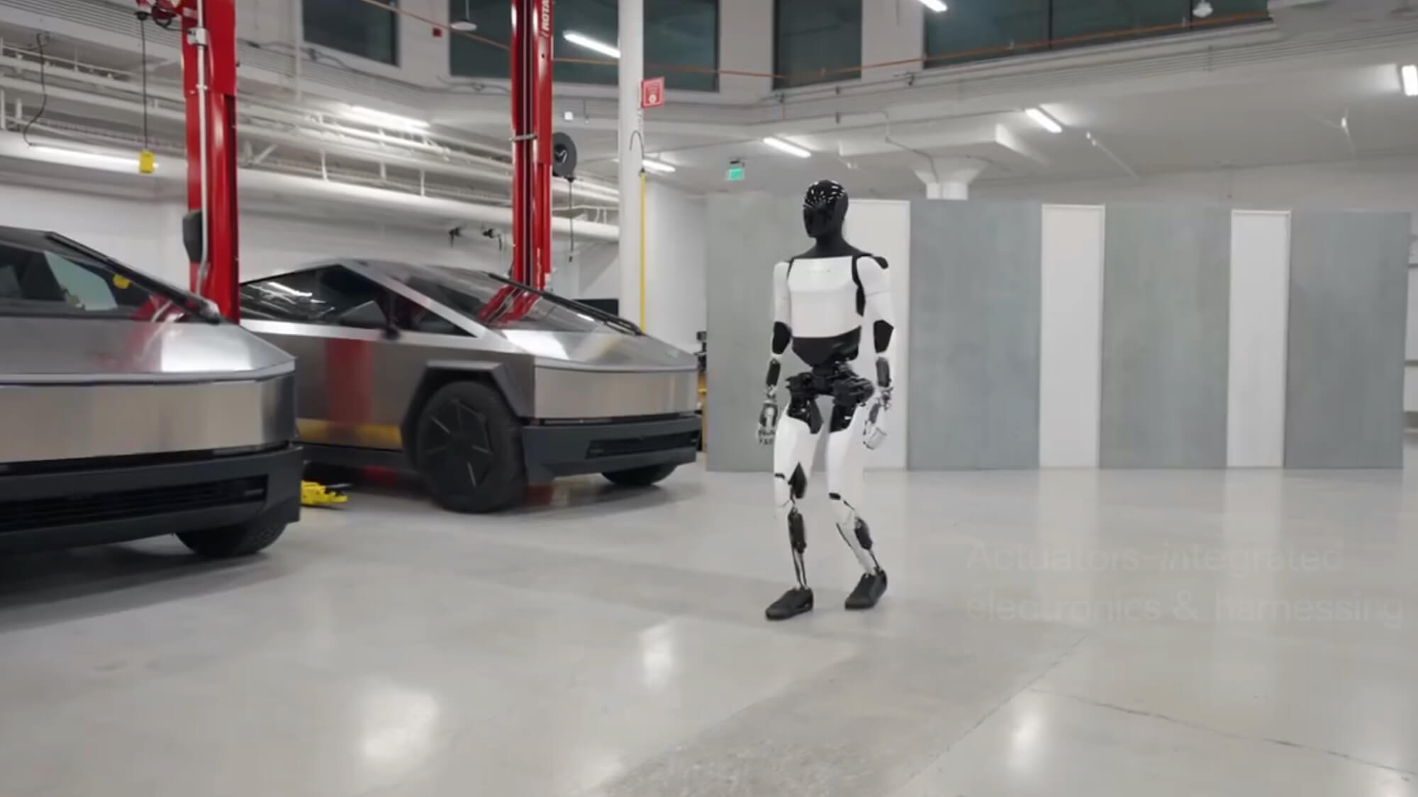 Tesla bot optimus walking