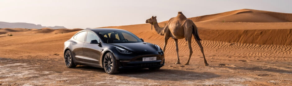 Tesla Model 3 dromedaris