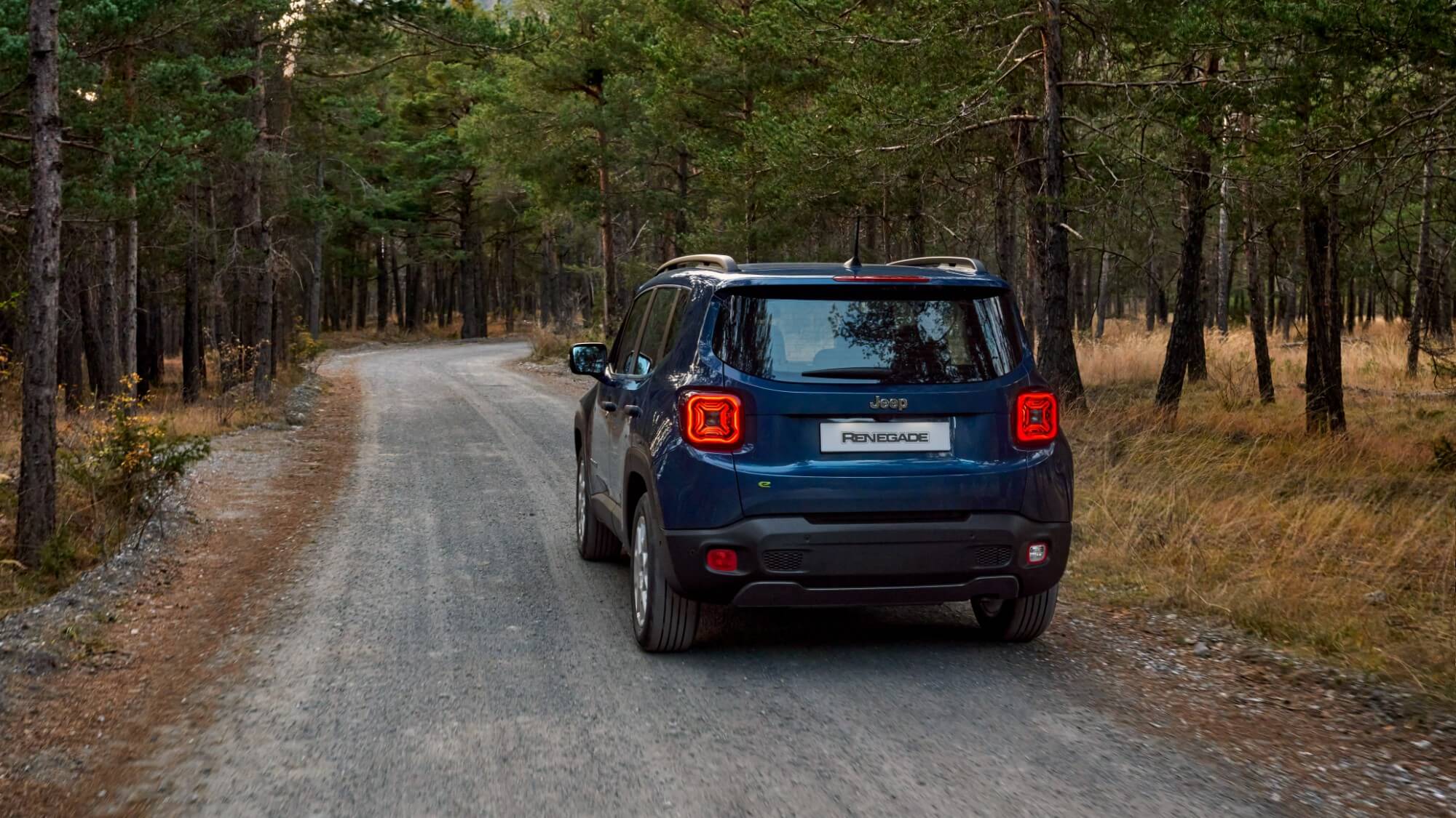 jeep renegade 2024_5